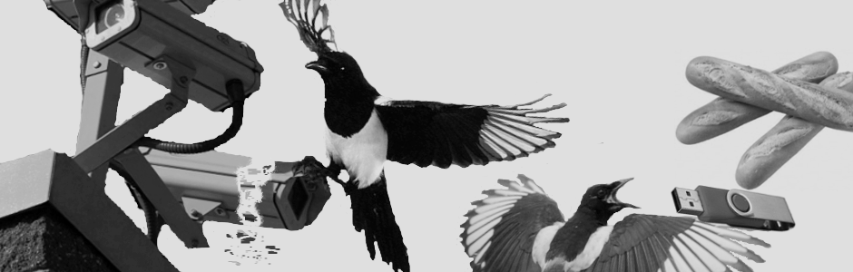 MAGPIE PROJECT